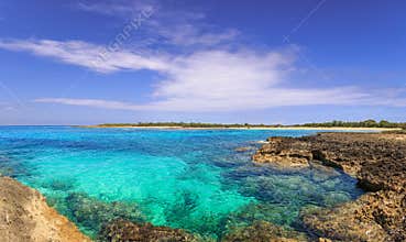 Adriatic,apulia,beach,beach sand,biodiversity,brindisi,carovigno,coast,coastline,crystalline sea,dunes,ecosystem,foreshore,holiday