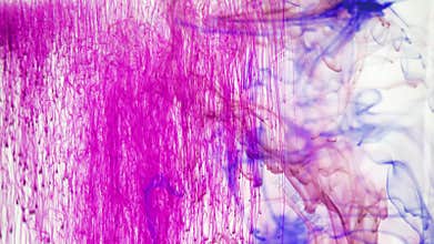 Abstract colours in water.