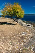 Autumn colours along the west coast of Canada