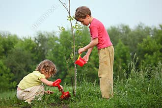 Kids plant the tree