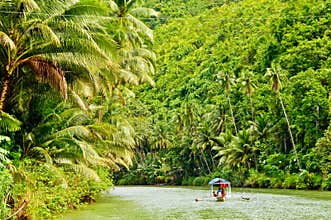 Rainforest River Cruise