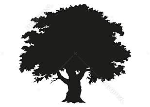Tree silhouette. Drawing
