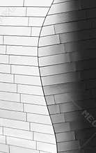 Detail of Fondation Louis Vuiton designed by architect Frank Gehry