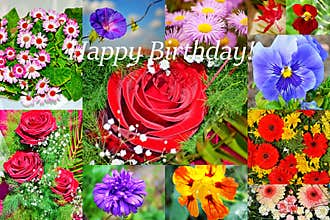 Happy Birthday flowers collage postcard