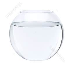 Fish bowl with water in front of white background