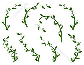 Set of green olive branches