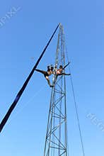 The acrobatic pirouettes at the height of the bird`s flight