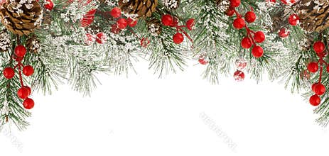 Christmas border of green fir branches with snow, red berries and cones isolated on white