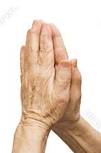 Old female hands pray