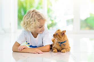 Child feeding home cat. Kids and pets