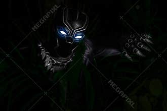 Black Panther Character Cosplay in wakanda