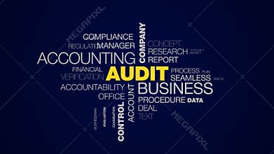 Audit business accounting company finance analysis service success consulting control investment animated word cloud