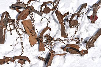 Old traps used to catch varmints.
