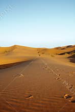 Late afternoon on Sahara desert