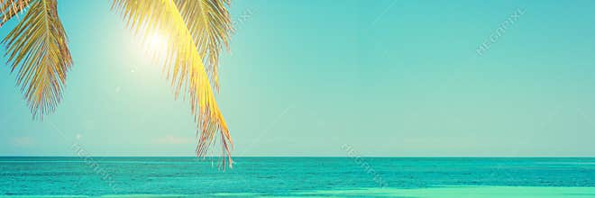 Sun and palm leaves, blue sky, caribbean sea, summer and travel background