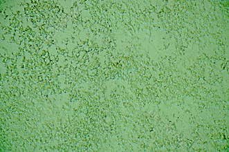 Textures of decorative plaster. Texture of decorative plaster. Green color background