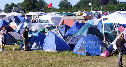 Music Festival 2