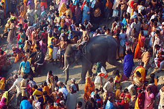 Asiaâ€™s biggest cattle fair.