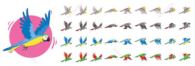 Animations the bird is flying. Parrot Animations. Set of Sprite bird flies.