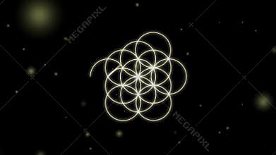 The Flower of Life