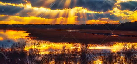 Gorgeous sunset sky with light rays