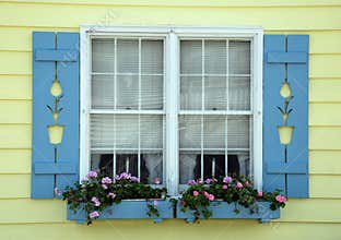 Tulip Cottage Window