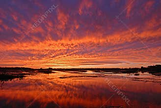Brilliant Sunset Over Wetland Marsh