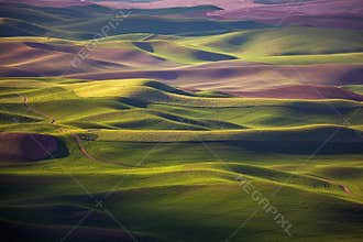 Rolling hills spring