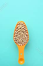 Soybean on spoon