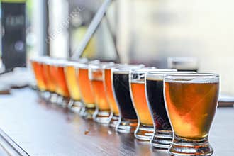 Craft Beer Tasting Flight