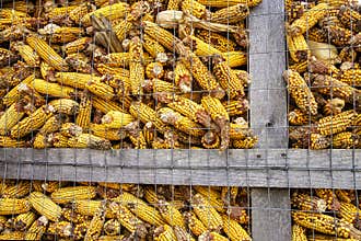 Corn-crib