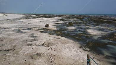 Aerial shot: lost boats in low tide, drought, island zanzibar