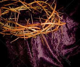 Crown of thorns