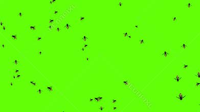 Bee flying on hive. Beehive or apiary with huge honey in Loop background. Honeybees