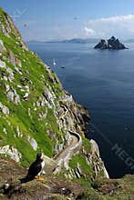 Skellig Islands - Puffin's Eye View, Ireland