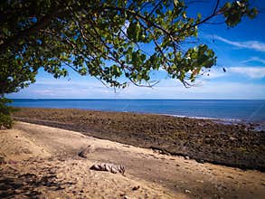 Natural Tropical Beach Scenery Under Shady Trees With Many Chunks Of Rocks On A Sunny Day At Pemuteran Village