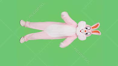 Fitness, training, workout, bodycare and positive concept. Easter Bunny or rabbit sportsman athlete bodybuilder is