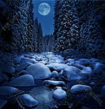 Beautiful winter night