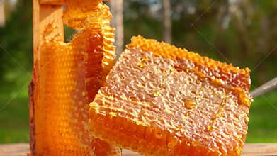 A large piece of the honeycomb is taken from the wooden frame