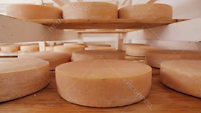 Cheese wheels maturing on shelves - camera slide