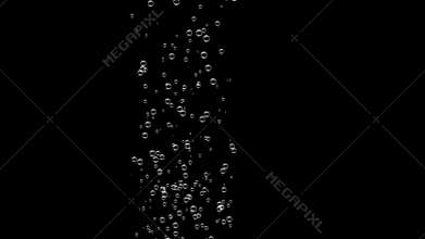 Transparent water bubbles go up side, transparent background