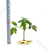 Measuring business growth
