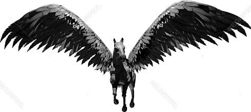 Pegasus isolated on white