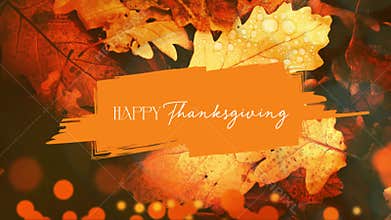 Elegant Bokeh Happy Thanksgiving Script Animation