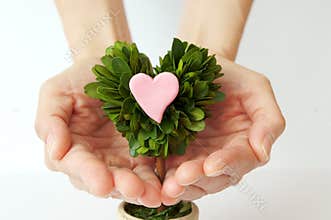 Heart that I want to convey.