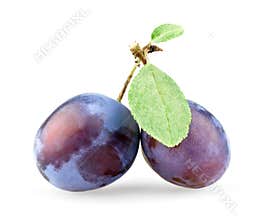 Plum with leaves