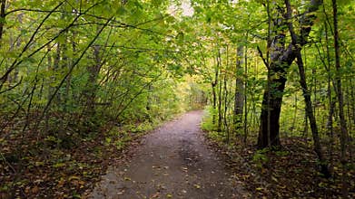 Walking in the nature trail with tunnel of trees