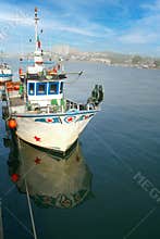 Fishing boats anchored