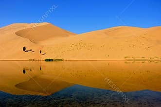 Desert
