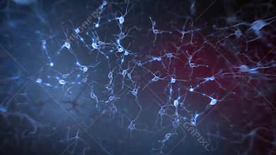 Brain Neurons and Synapse Activity animation. Electrical impulses inside the human brain